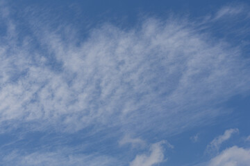 梅雨の晴れ間06