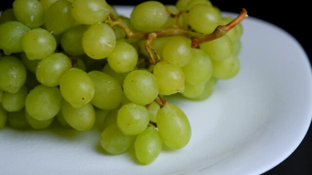 green grape branches close-up