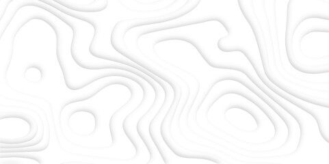 Abstract paper carve template. abstract white and gray 3d papercut topography relief vector background illustration. topographic canyon geometric map relief texture with curved layers and shadow.	

