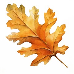 Watercolor autumn leaf with a brown stem and a white background