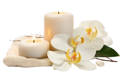 PNG Flower candle plant spirituality.