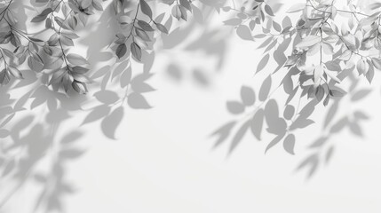 In the morning sun light, blurry shadows of leaves fall on a white background. Abstract silhouette shadow background of natural leaves.