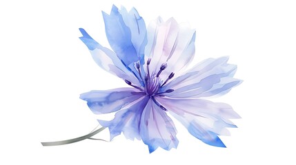 Obraz premium Watercolor Bluebells on White Background