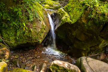 mountain waterfall , A mountain stream flows past green mossy rocks, 