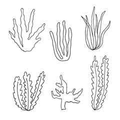 Hand drawn algae black set on white background. Vector illustration isolated sketch. Line art.