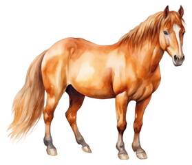 Obraz premium PNG Horse stallion cartoon mammal.