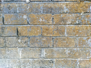 A close-up of a cinder block wall, overgrown with dried moss, reveals the passage of time and nature's reclaiming touch.