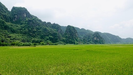 Obraz premium Die sog. Trockene Halong Bucht bei Ninh Binh in Vietnam