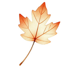 Watercolor illustration of a single autumn leaf with vibrant colors perfect for seasonal and botanical themes