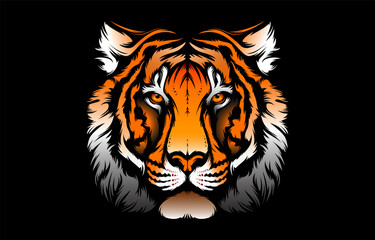 Tiger face colored isolated vector.