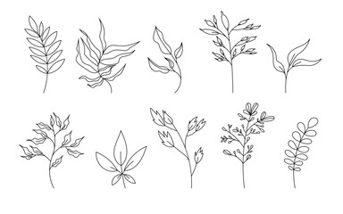 Botanical set outline silhouette, hand drawn branch, flower, leaf. Plant line art, nature decorative element. Invitation, banner, cover, fabric design. Vector isolated on white background