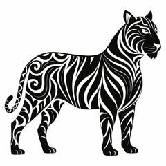 tiger vector and illustration