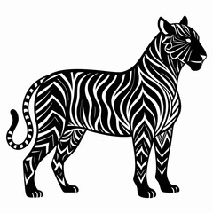 tiger vector and illustration