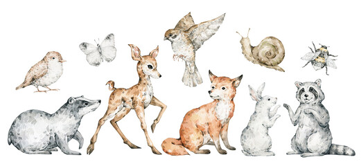 Watercolor forest animals. Fox, deer, hare, raccoon, badger, snail, birds. Hand-painted woodland wildlife. 