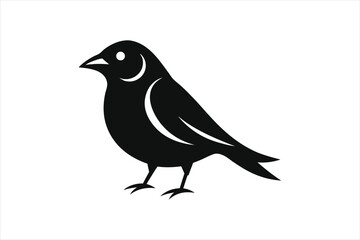 Fototapeta premium a minimalist beautiful Grosbeak bird silhouette black vector artwork illustration 