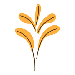 hand drawn vector illustration of a plant