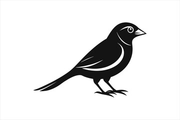 a minimalist beautiful Grosbeak bird silhouette black vector artwork illustration 