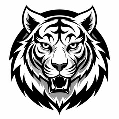 tiger vector and illustration