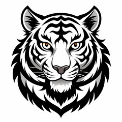 tiger vector and illustration