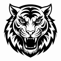 tiger vector and illustration
