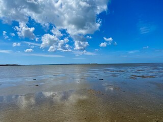 Eine Wattwanderung von Föhr nach Amrum durch das Watt der Nordsee