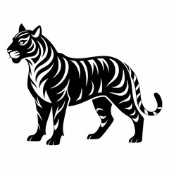 tiger vector and illustration