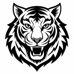 tiger vector and illustration