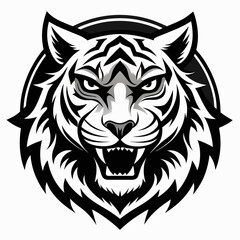 tiger vector and illustration