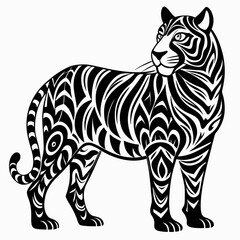 tiger vector and illustration