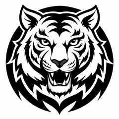 tiger vector and illustration