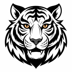 tiger vector and illustration