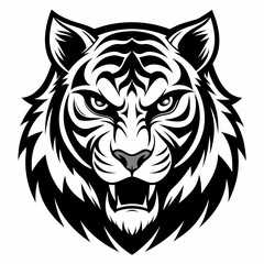 tiger vector and illustration