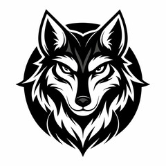 tiger vector and illustration