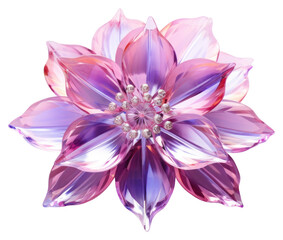 PNG Flower jewelry dahlia plant.