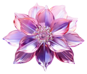 PNG Flower jewelry dahlia plant.