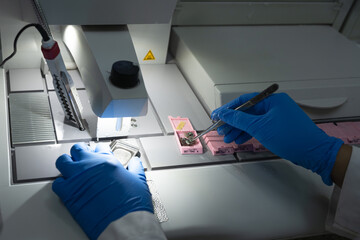 A medical scientist prepares a specimen for a pathologist to diagnose at the laboratory.