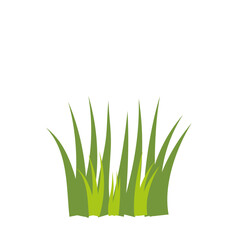 Garden Herb Green Grass Vector 