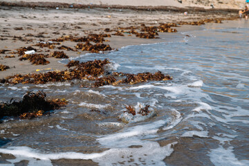 The beach is covered in seaweed and trash. The water is choppy and the waves are crashing against the shore. The scene is not very inviting and gives off a sense of neglect and pollution