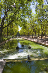 Gardens of the Prado of San Sebastian in Seville, Spain