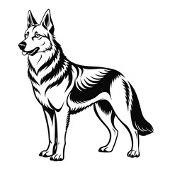 Fototapeta premium German Shepherd dog line art sketch vector illustration 