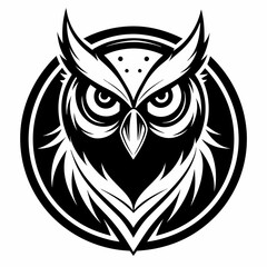 owl vector and illustration