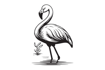 Flamingo Line Art Silhouette Vector illustration