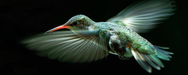 Fototapeta premium A photorealistic image of a hummingbird hovering in mid-air, its wings beating so fast they blur into motion.