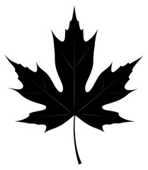 Naklejka premium PNG Leaf silhouette clip art leaf plant white background.