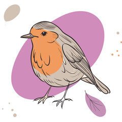 Robin bird Coloful Vector for various uses