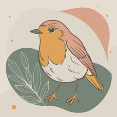 Robin bird Coloful Vector for various uses