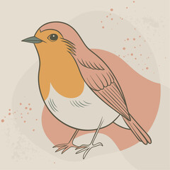 Robin bird Coloful Vector for various uses