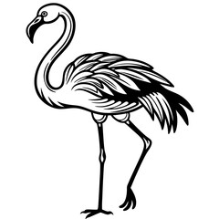 Graceful Flamingo Standing on One Leg (1) Vector Design and illustration