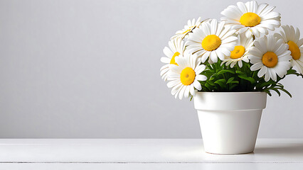  Colorful flowers, in white pot , minimalist plan pot full of colorful flowers in pots and containers, selective focus