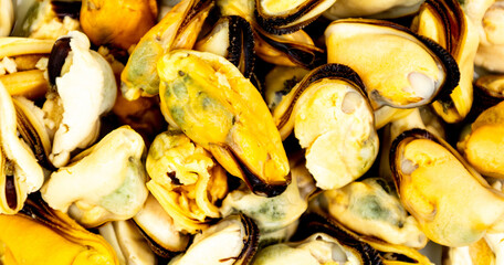Mussels close up, seafood mussels as background